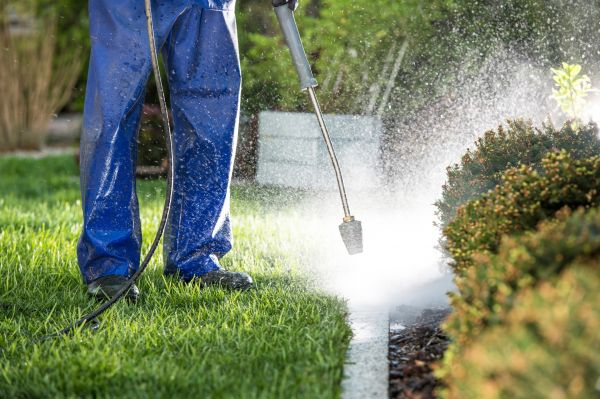 Curb Cleaning in Santa Maria