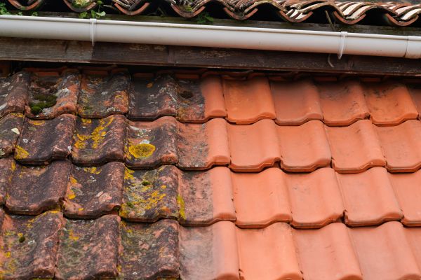 Industrial Roof Cleaning in Santa Maria